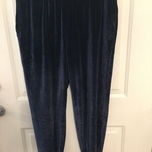 Fable tics XL velour jogger / lounge pants dark blue EUC. Sf/PF
